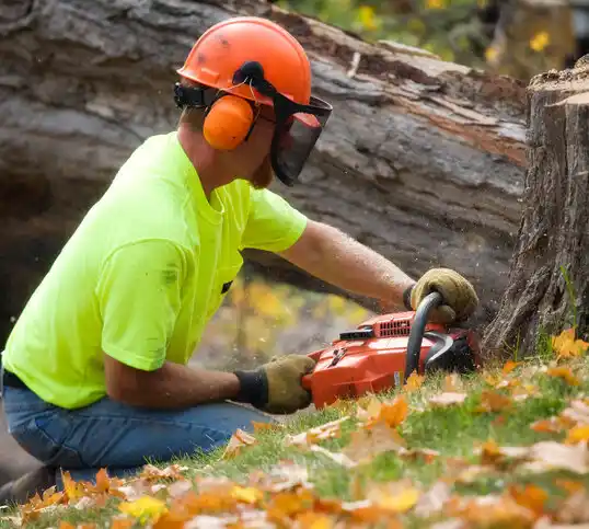 tree services Pearlington